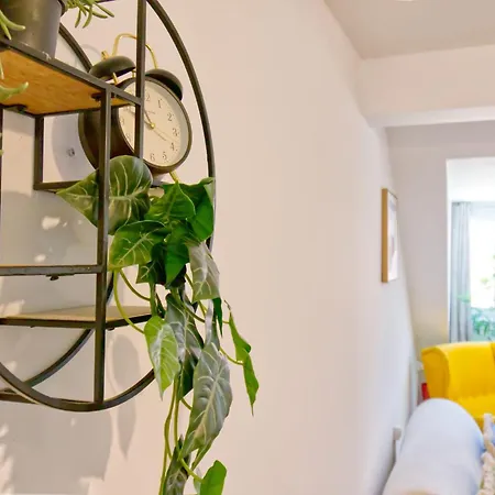 And Beautiful Flat